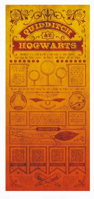 Harry Potter Limited Edition Quidditch Art Print