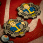 Fallout Limited Edition Flip Coin