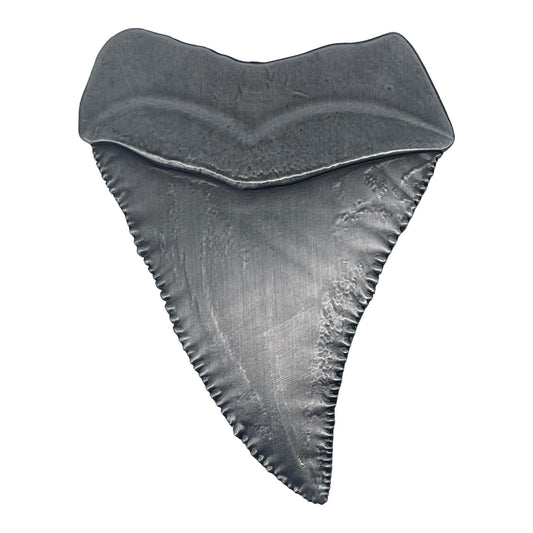Jaws 50th Anniversary Shark Tooth Medallion