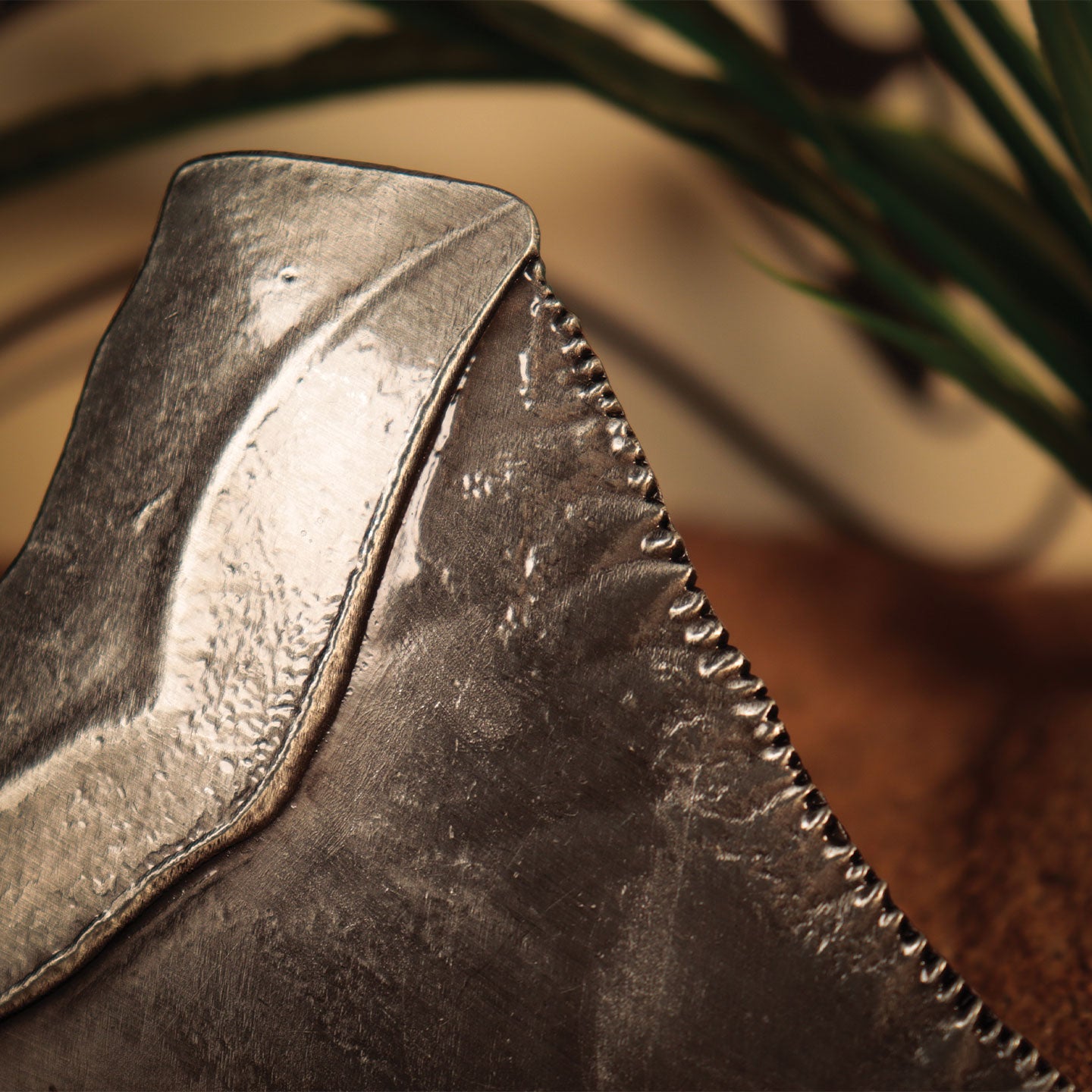 Jaws 50th Anniversary Shark Tooth Medallion